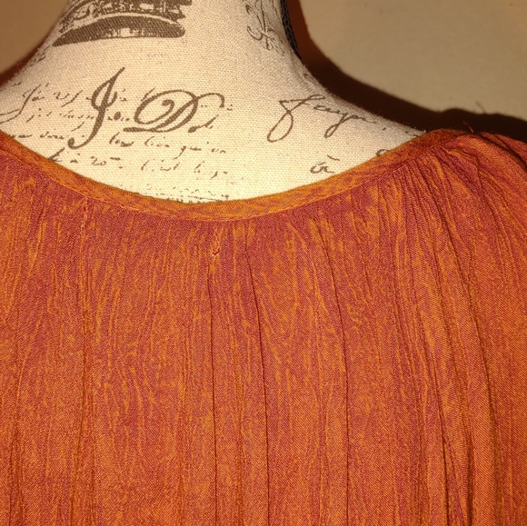 Chances R" dress, size 2X, burnt orange, rusty, embellished floral vine - Picture 6 of 12